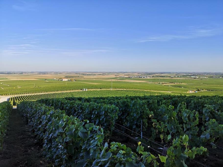 Gite "La Bulle De Lena" Avec Petit-Dejeuner Garage Et Parking Flavigny ภายนอก รูปภาพ